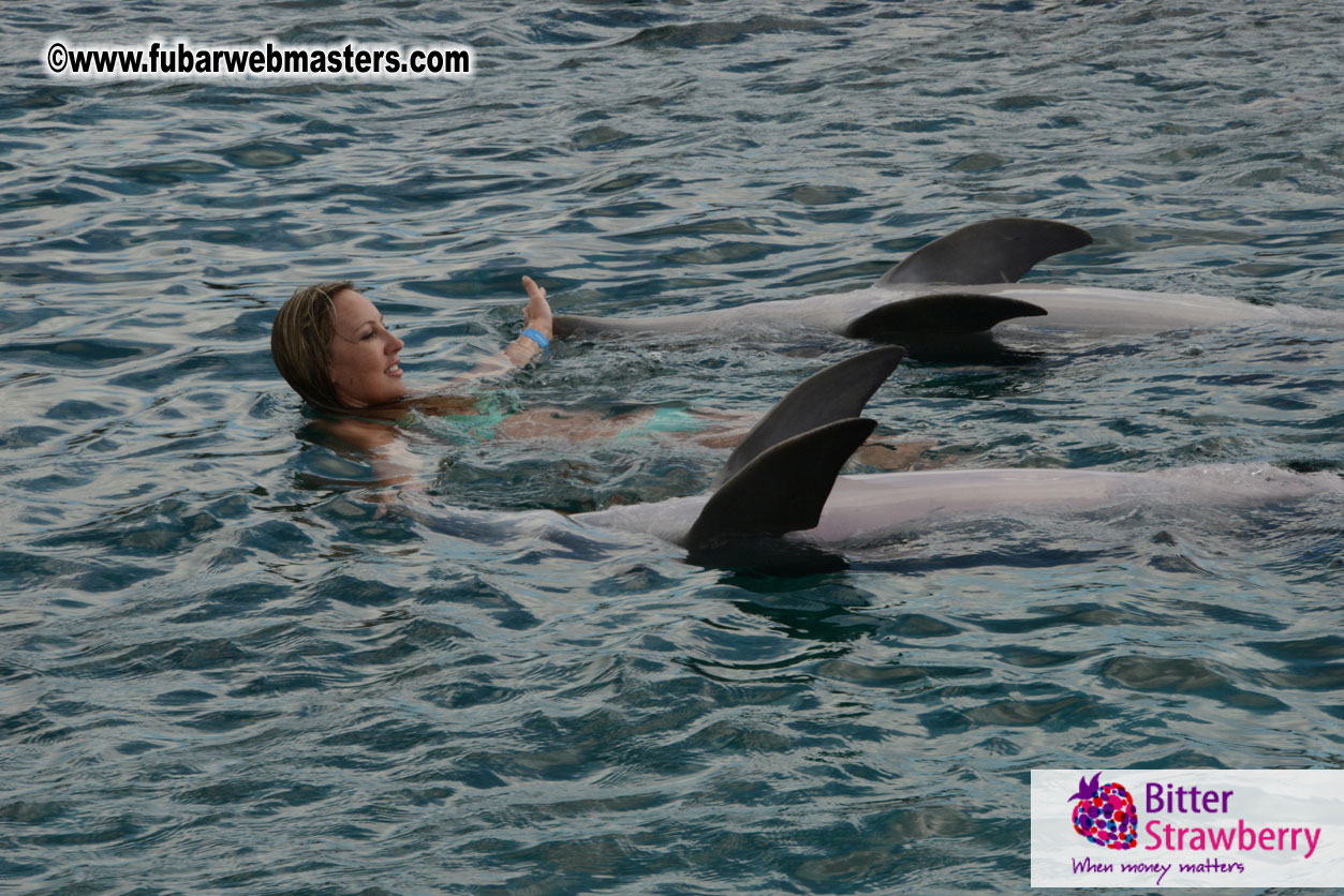 WireCard Dolphin Swim