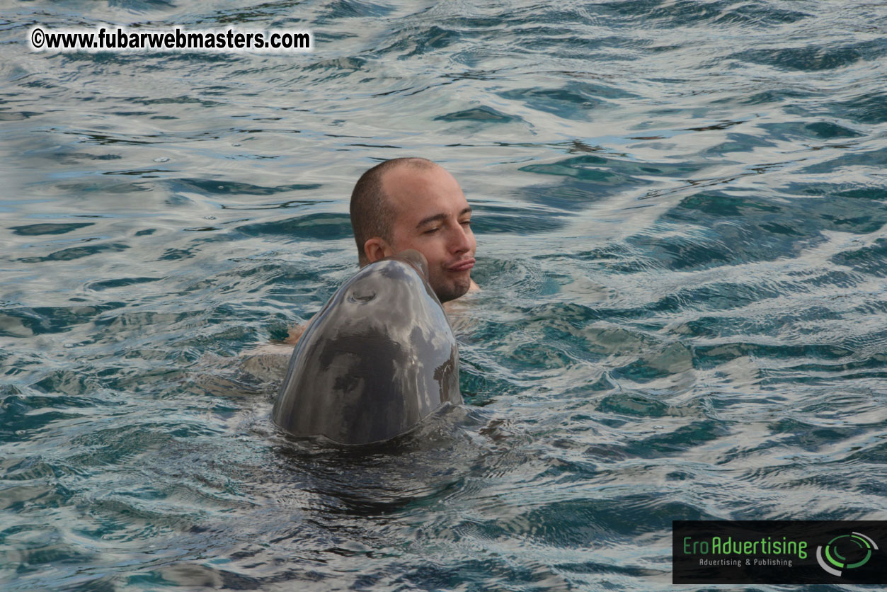 WireCard Dolphin Swim