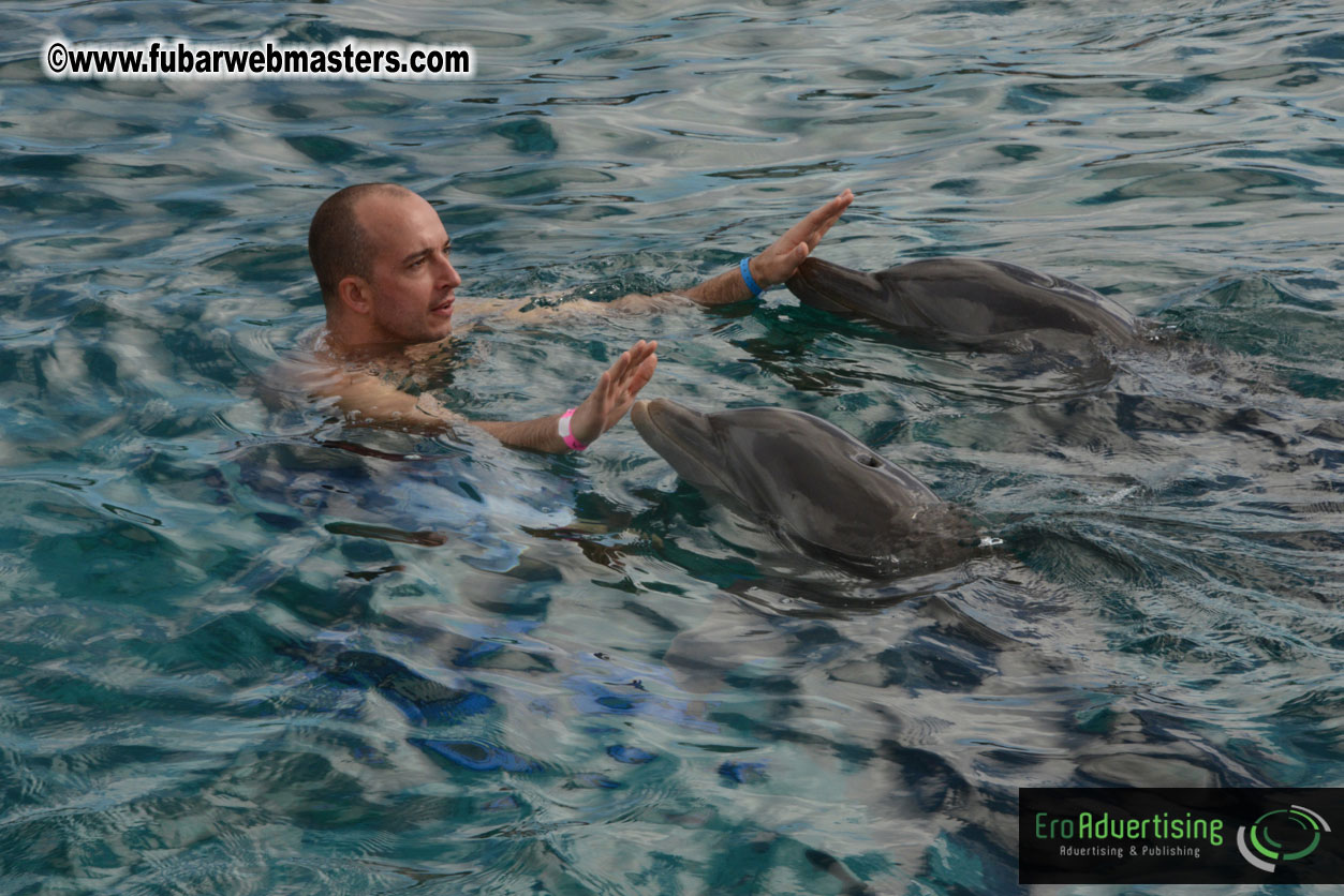 WireCard Dolphin Swim