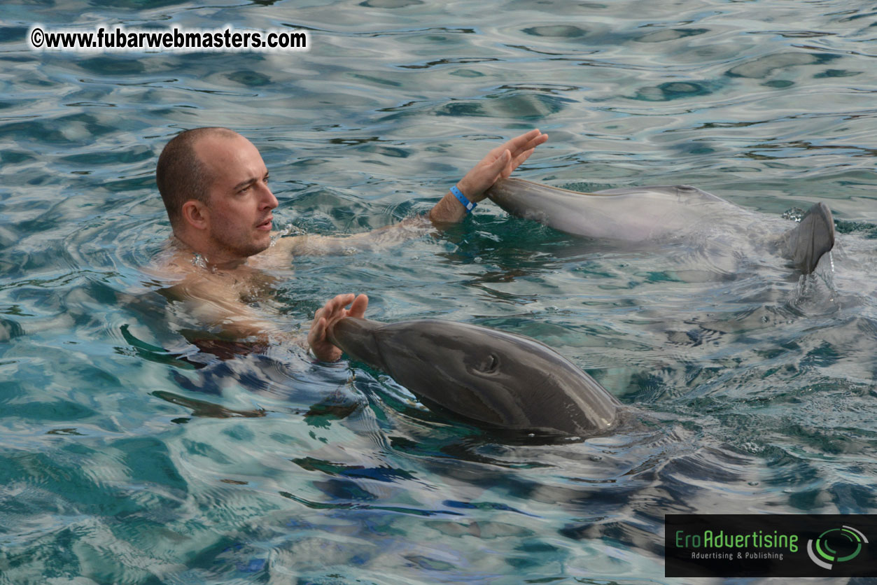 WireCard Dolphin Swim