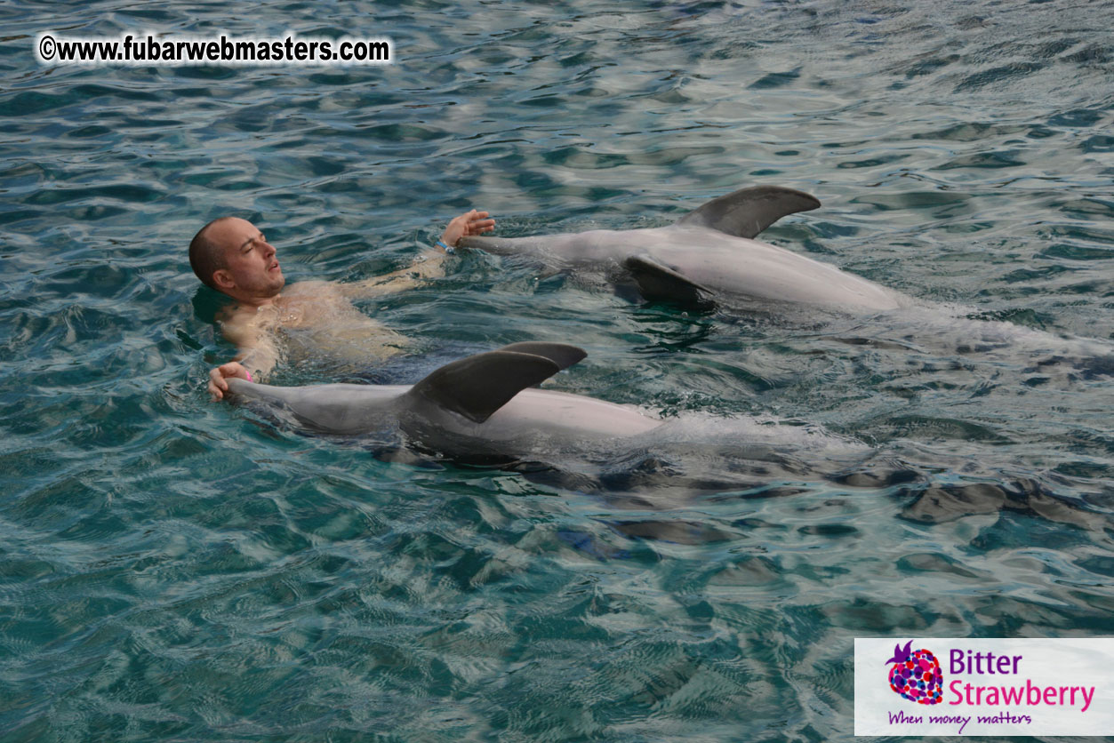 WireCard Dolphin Swim