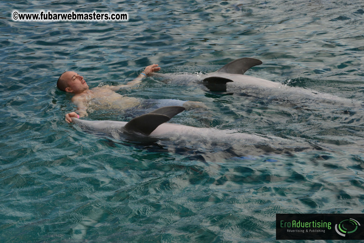 WireCard Dolphin Swim