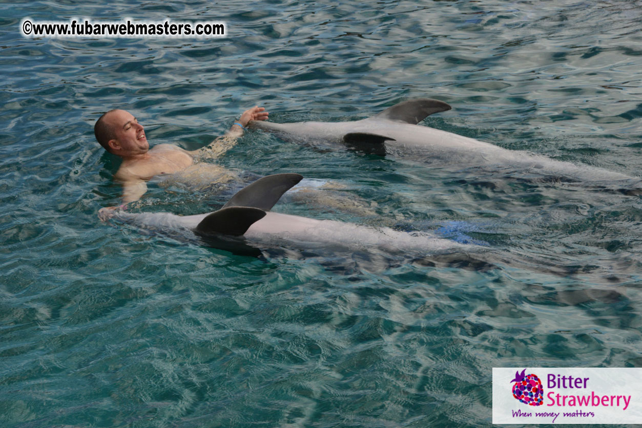 WireCard Dolphin Swim