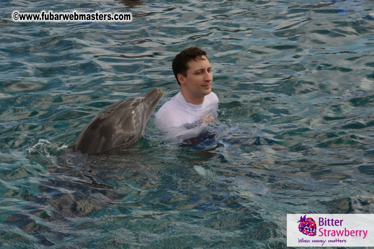 WireCard Dolphin Swim