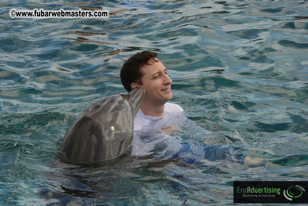 WireCard Dolphin Swim