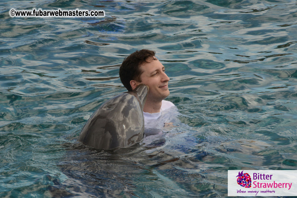 WireCard Dolphin Swim