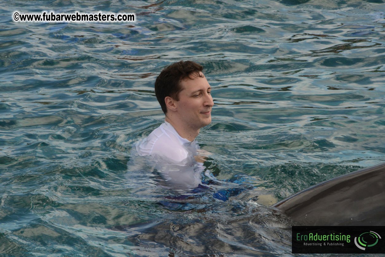 WireCard Dolphin Swim