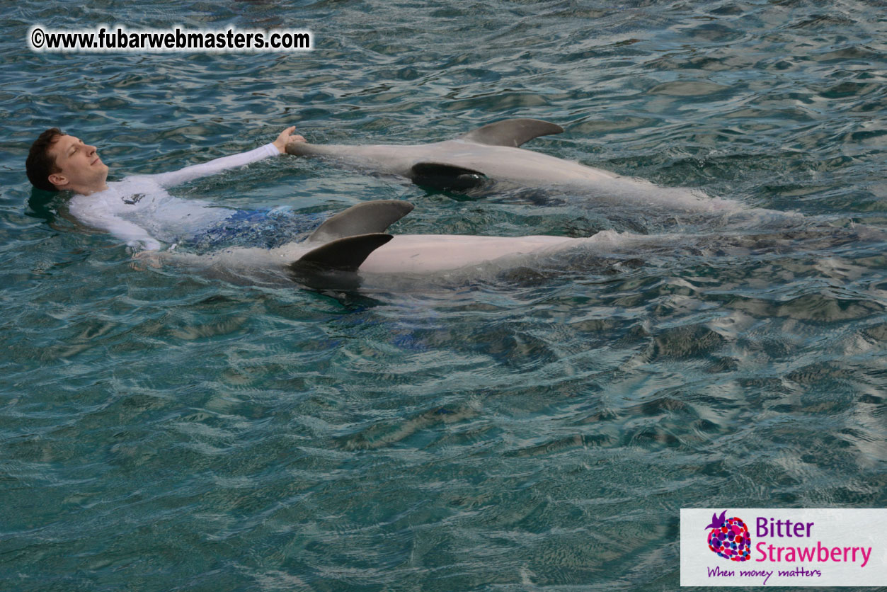 WireCard Dolphin Swim