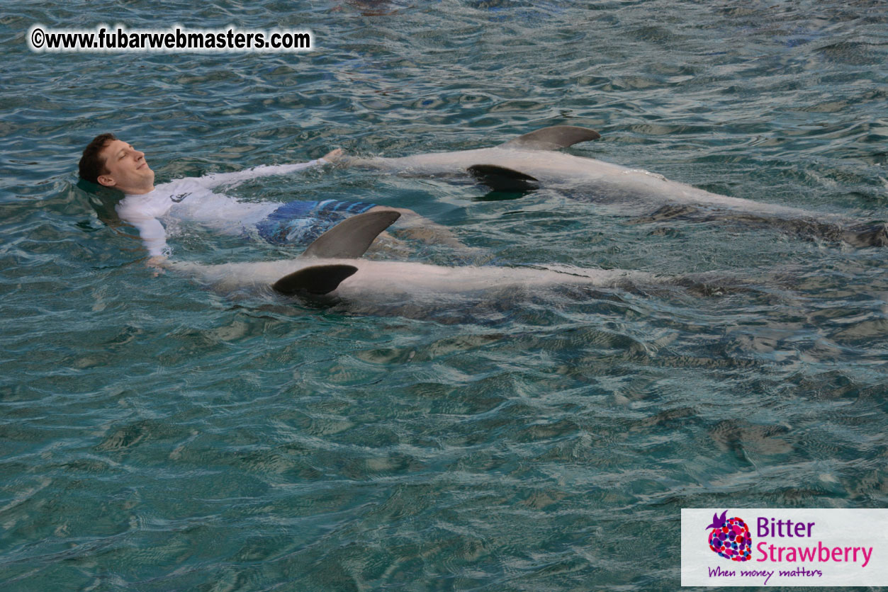 WireCard Dolphin Swim