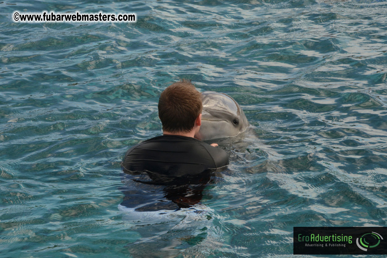 WireCard Dolphin Swim