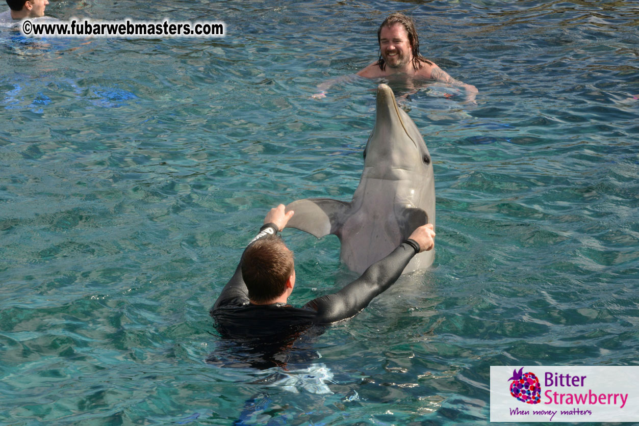 WireCard Dolphin Swim