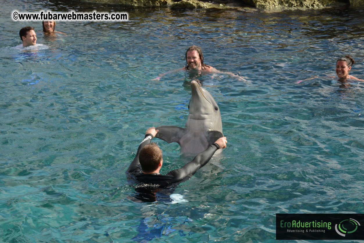 WireCard Dolphin Swim