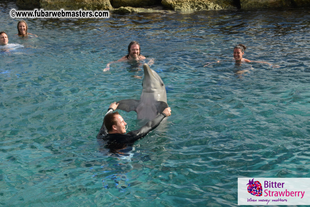 WireCard Dolphin Swim