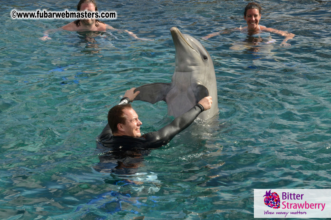 WireCard Dolphin Swim