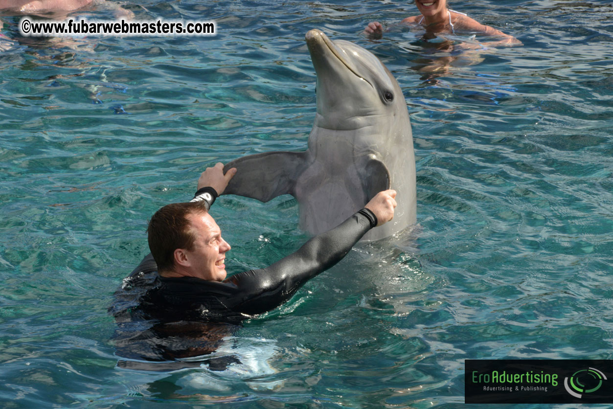 WireCard Dolphin Swim