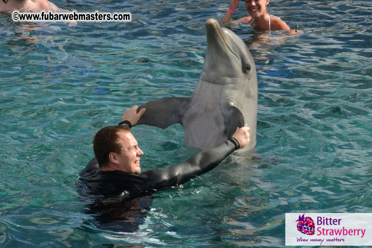 WireCard Dolphin Swim