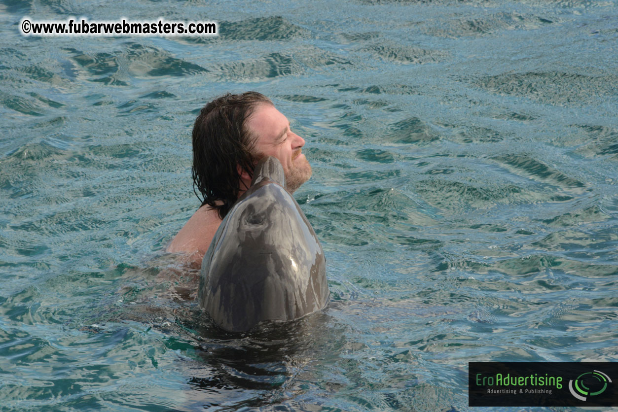 WireCard Dolphin Swim