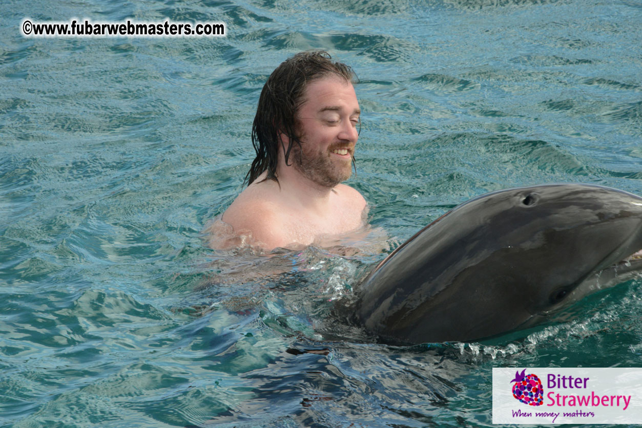 WireCard Dolphin Swim