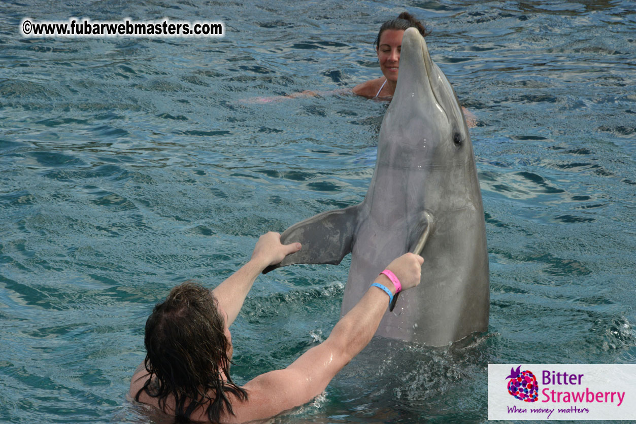 WireCard Dolphin Swim