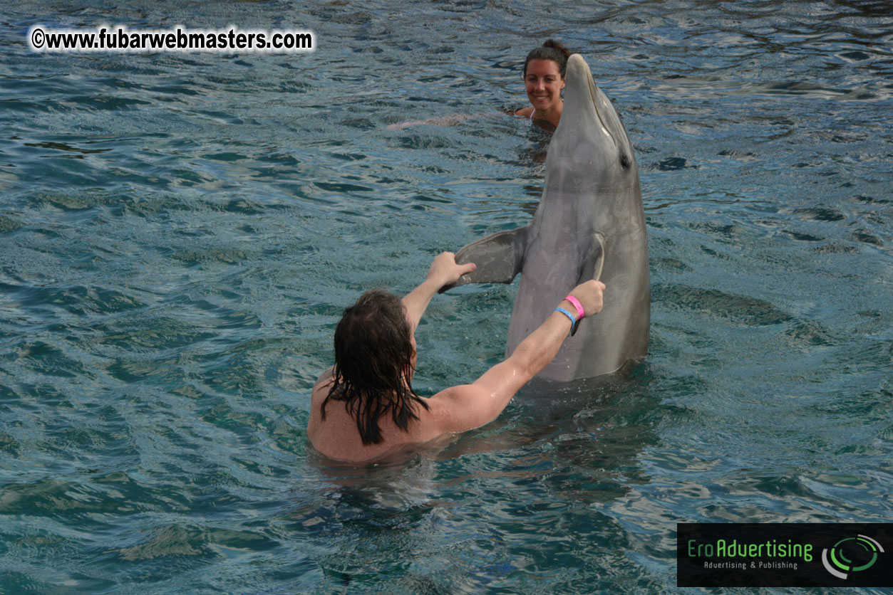 WireCard Dolphin Swim