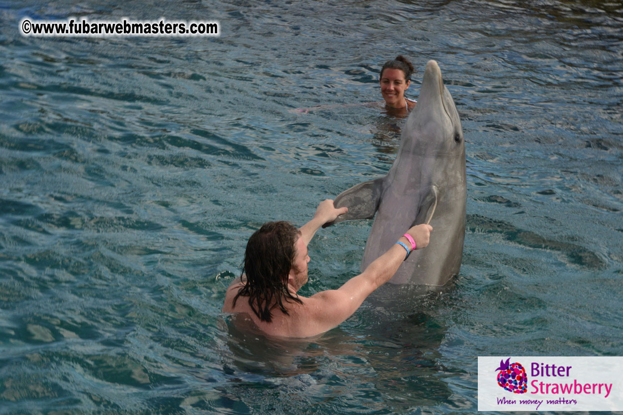 WireCard Dolphin Swim