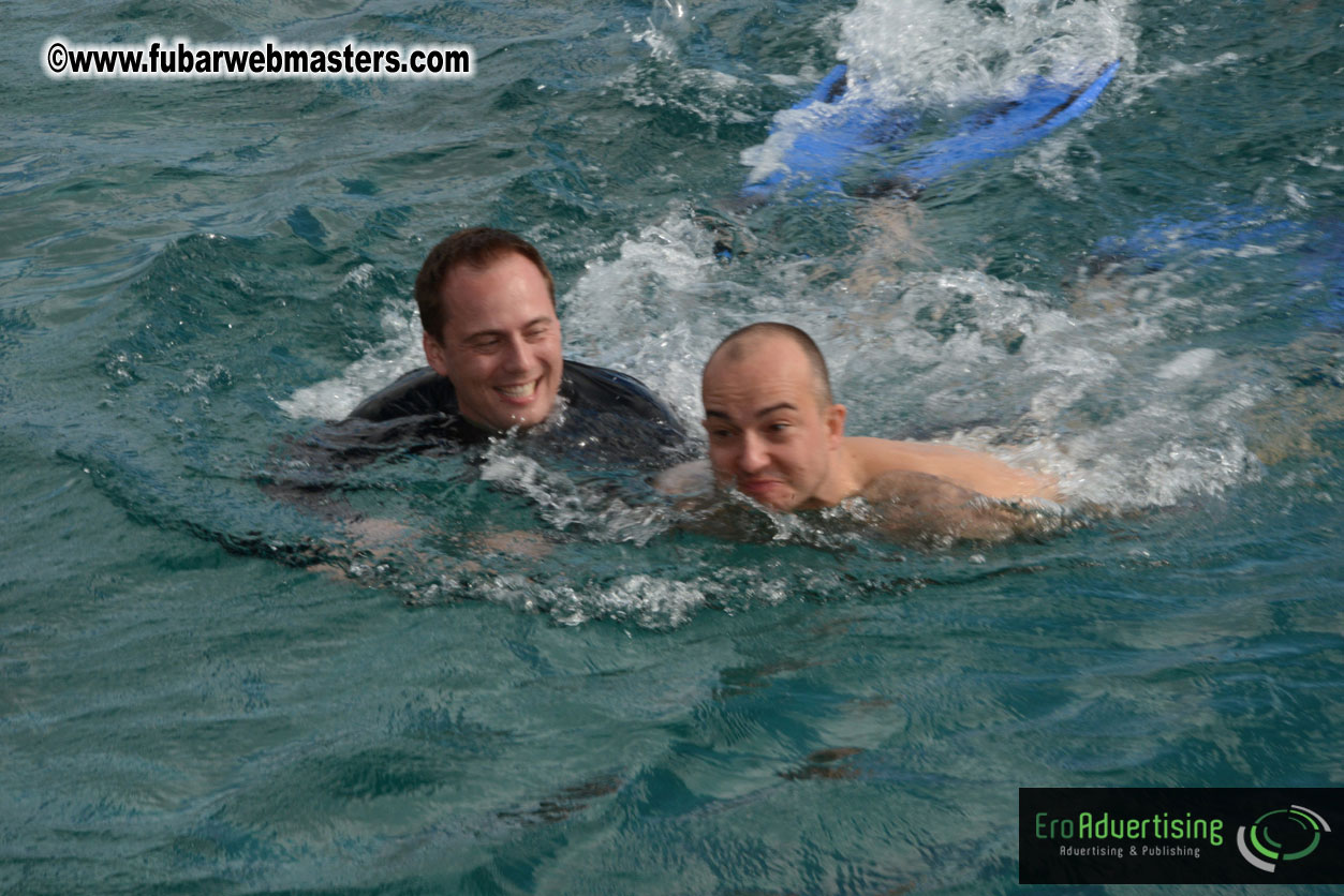 WireCard Dolphin Swim