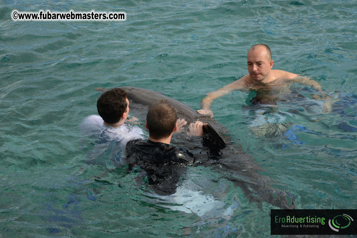 WireCard Dolphin Swim