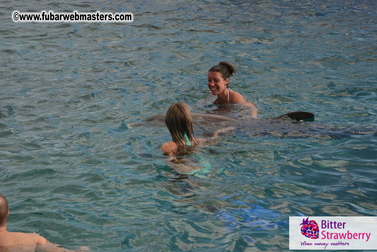 WireCard Dolphin Swim