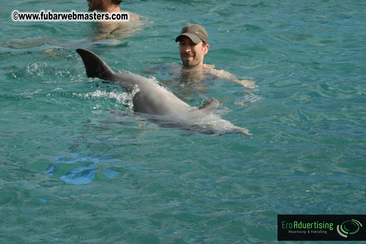 WireCard Dolphin Swim