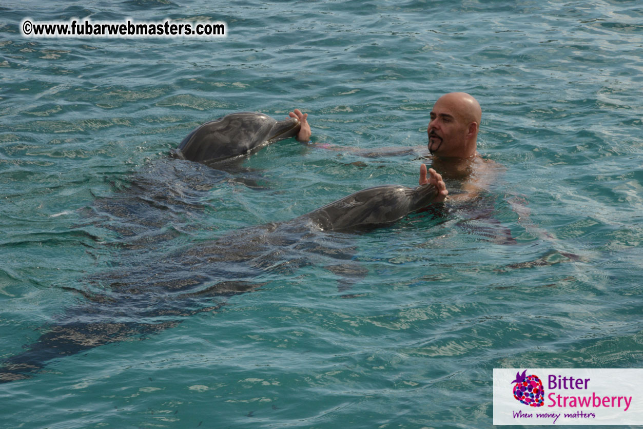 WireCard Dolphin Swim