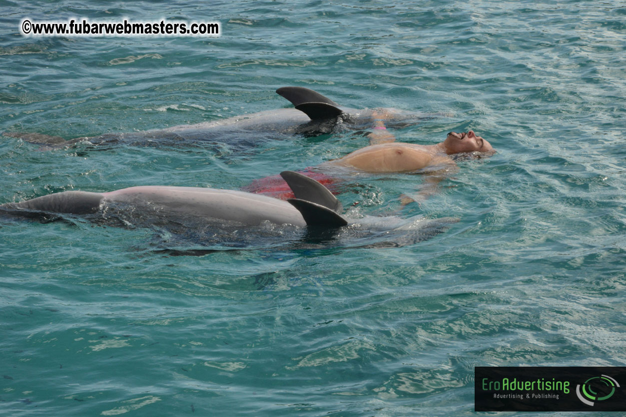 WireCard Dolphin Swim