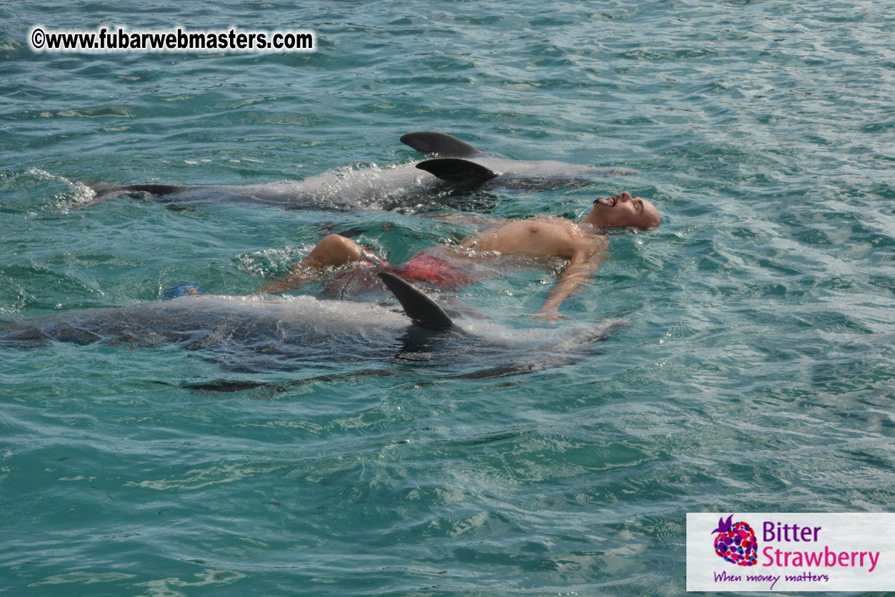 WireCard Dolphin Swim