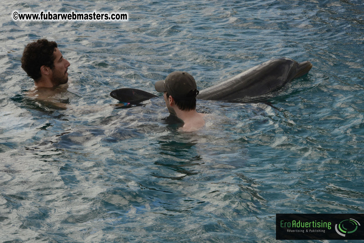 WireCard Dolphin Swim