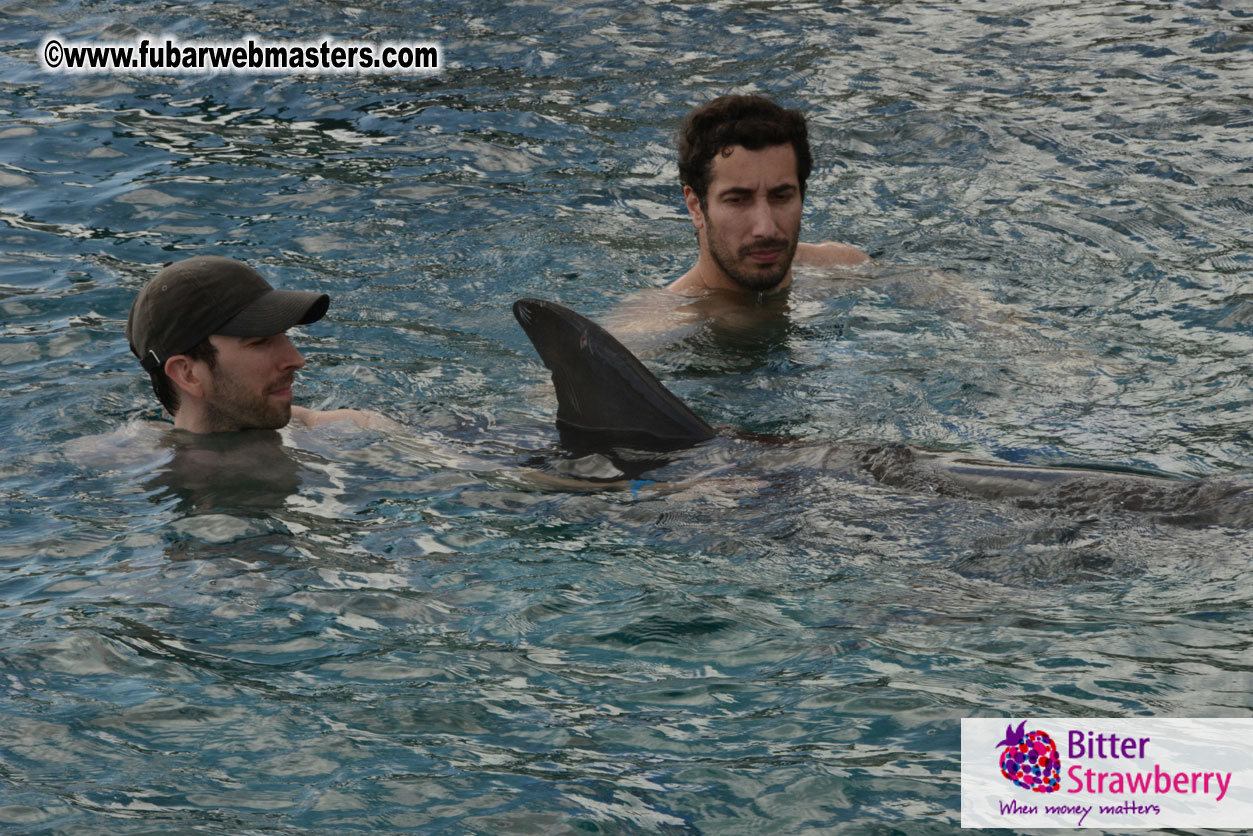 WireCard Dolphin Swim