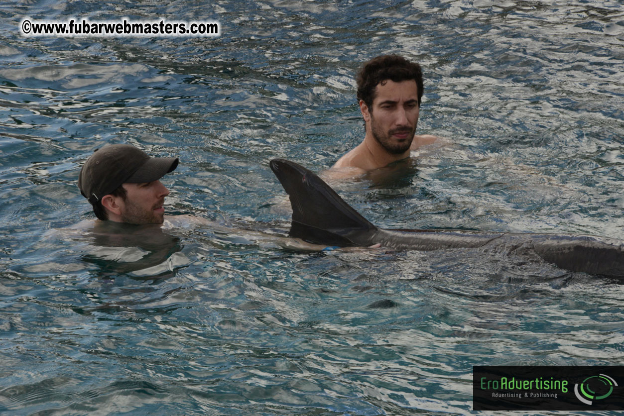 WireCard Dolphin Swim