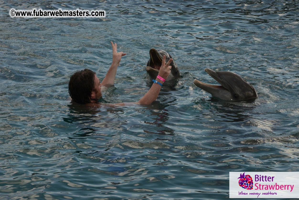 WireCard Dolphin Swim