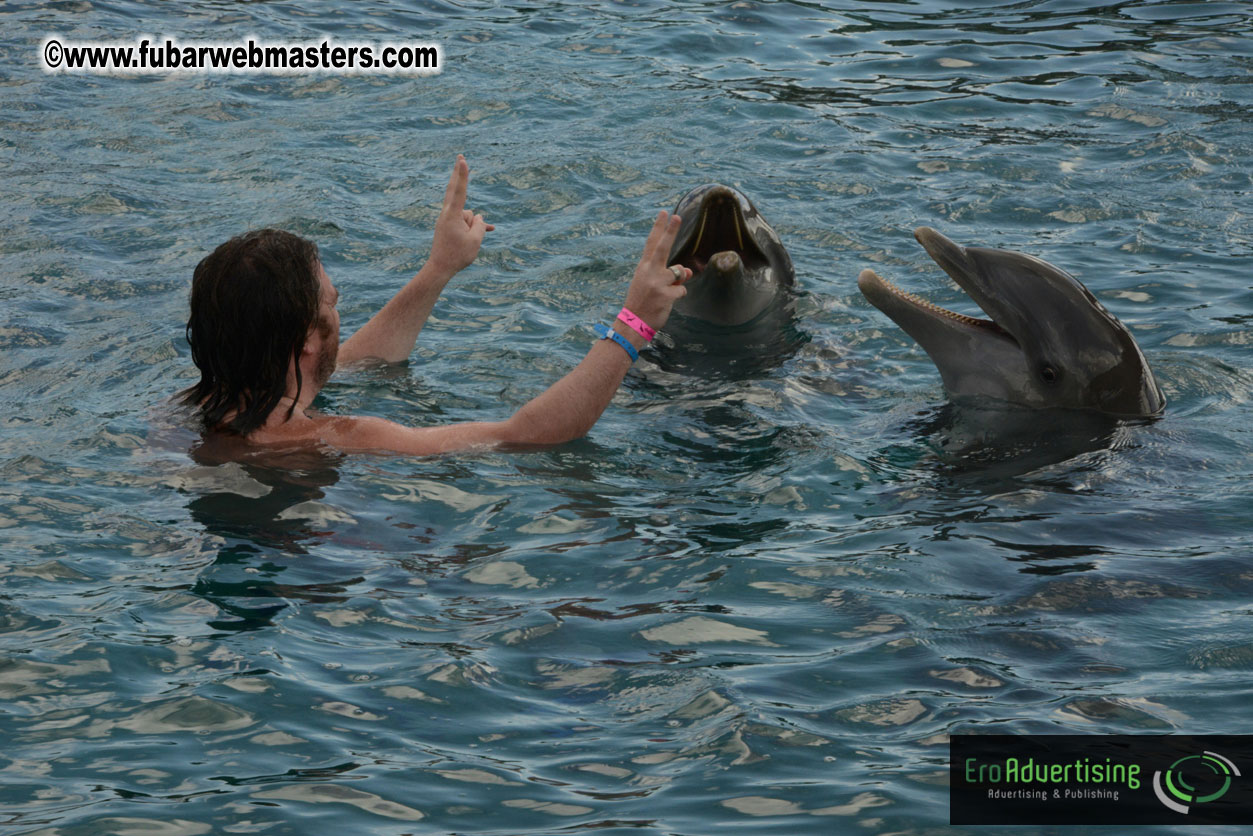 WireCard Dolphin Swim