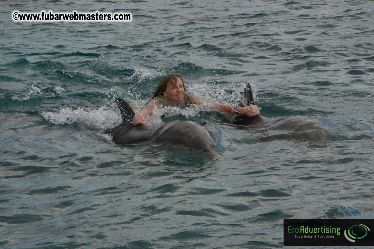 WireCard Dolphin Swim