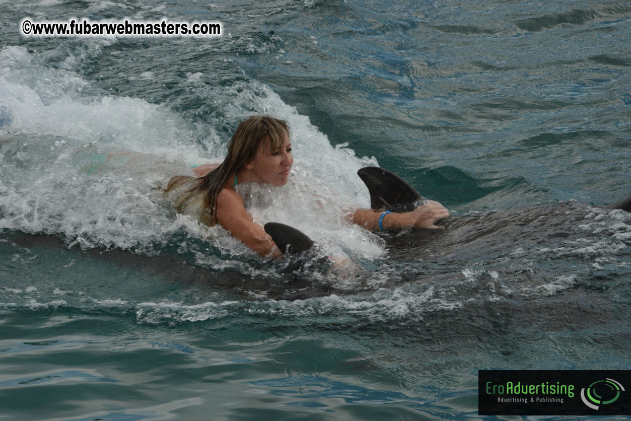 WireCard Dolphin Swim