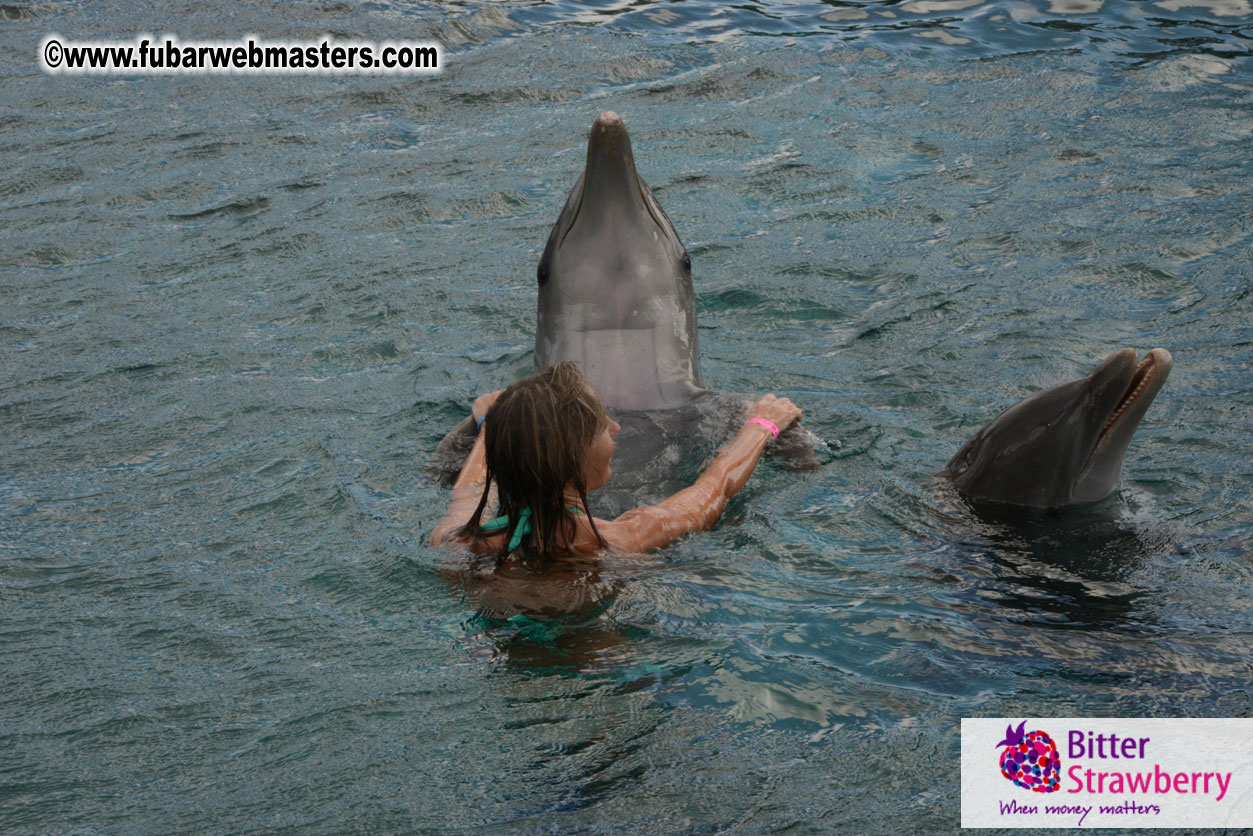 WireCard Dolphin Swim