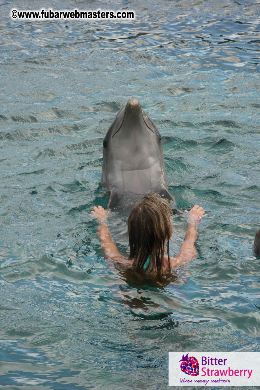 WireCard Dolphin Swim