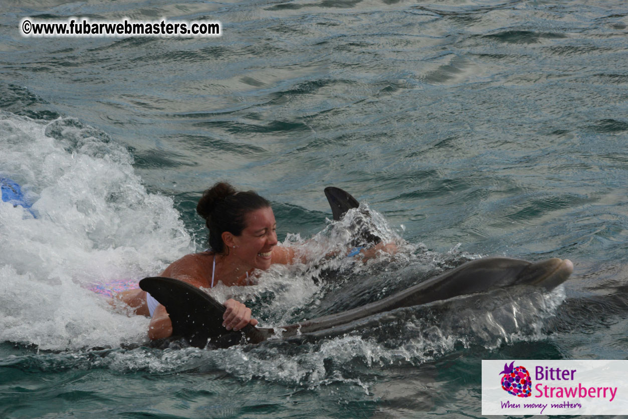 WireCard Dolphin Swim