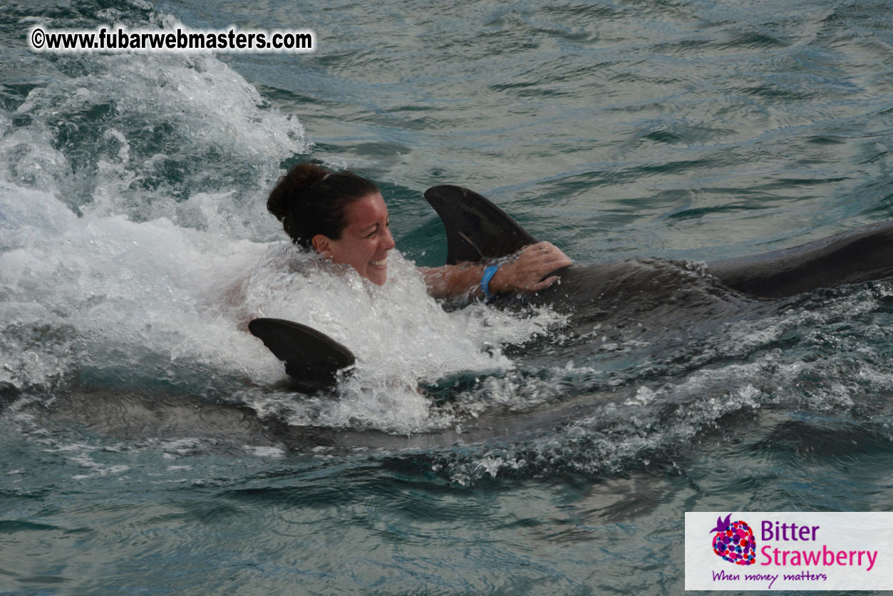 WireCard Dolphin Swim