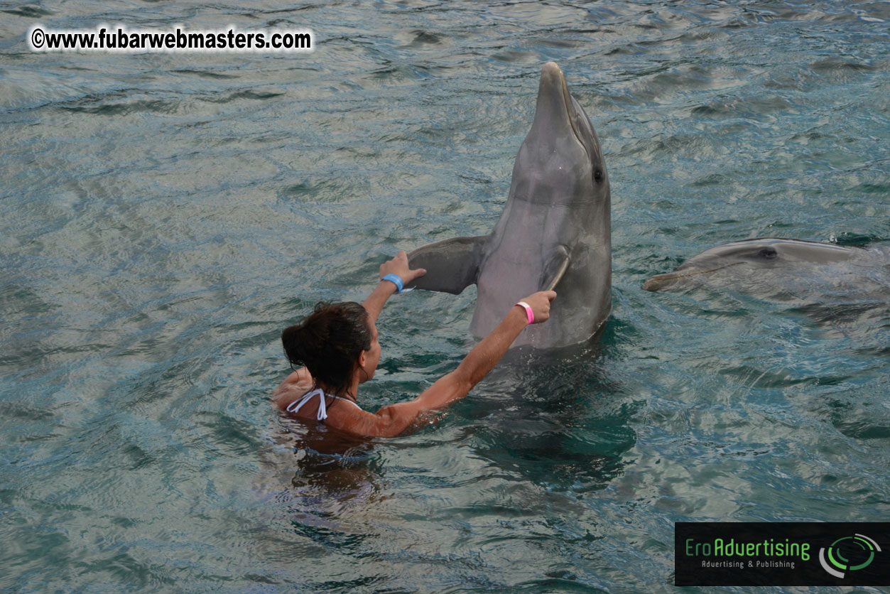 WireCard Dolphin Swim