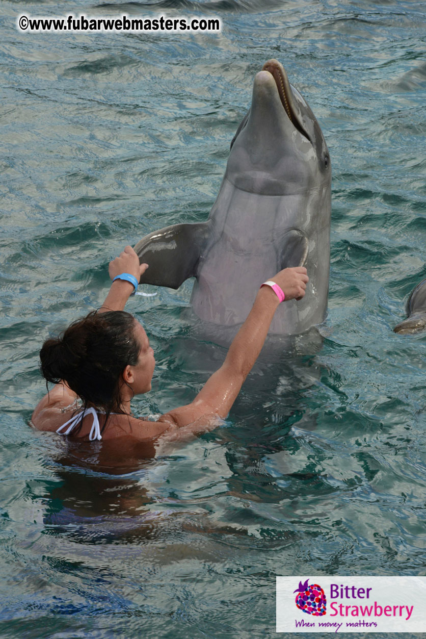 WireCard Dolphin Swim