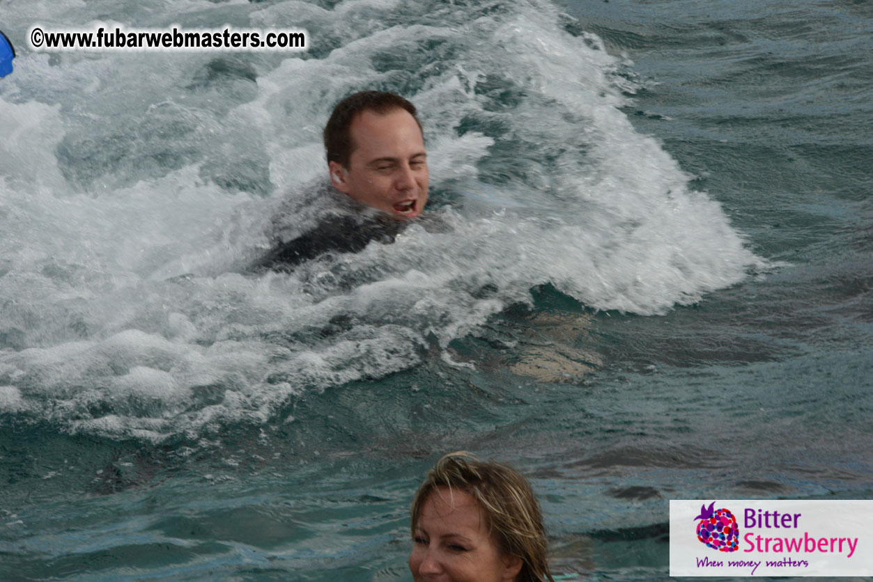 WireCard Dolphin Swim