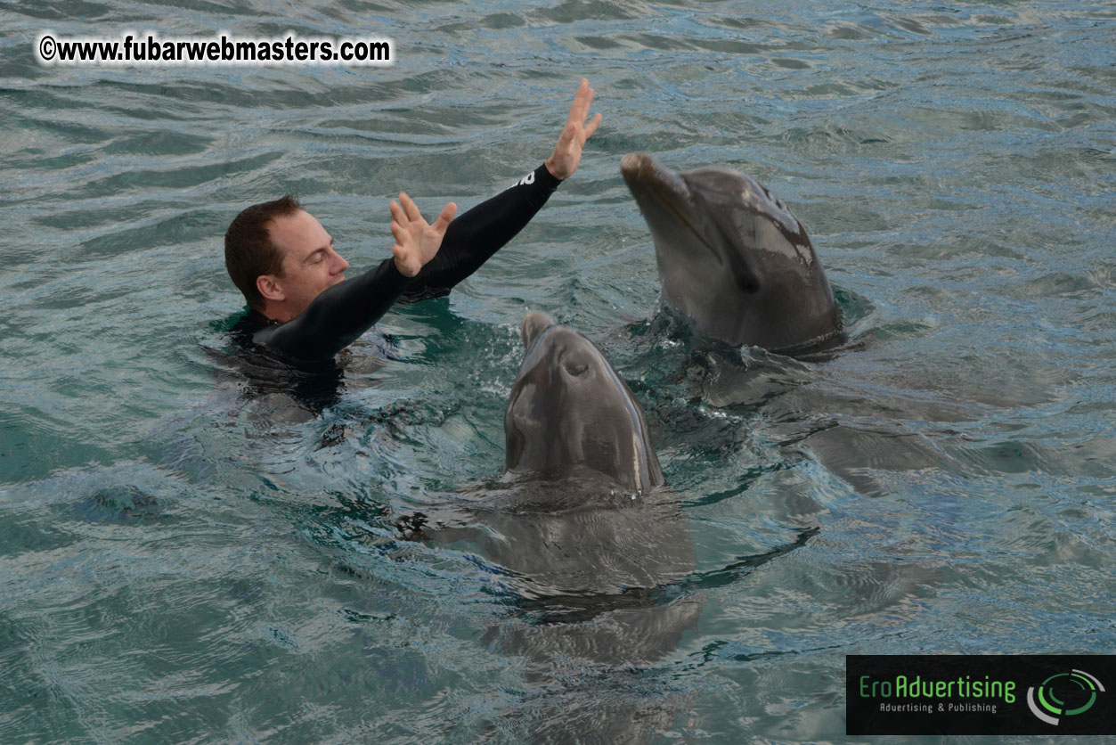 WireCard Dolphin Swim