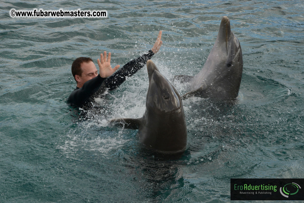 WireCard Dolphin Swim