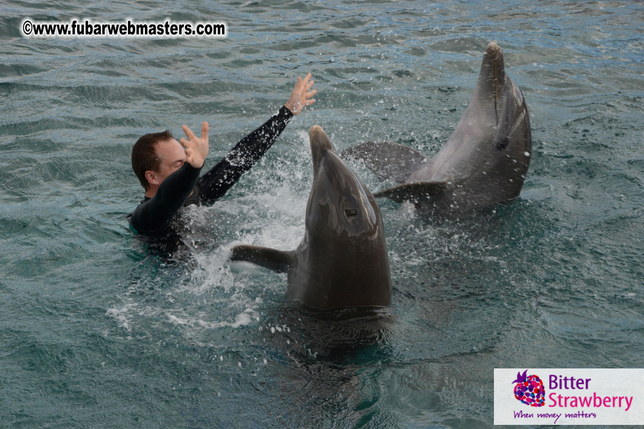 WireCard Dolphin Swim