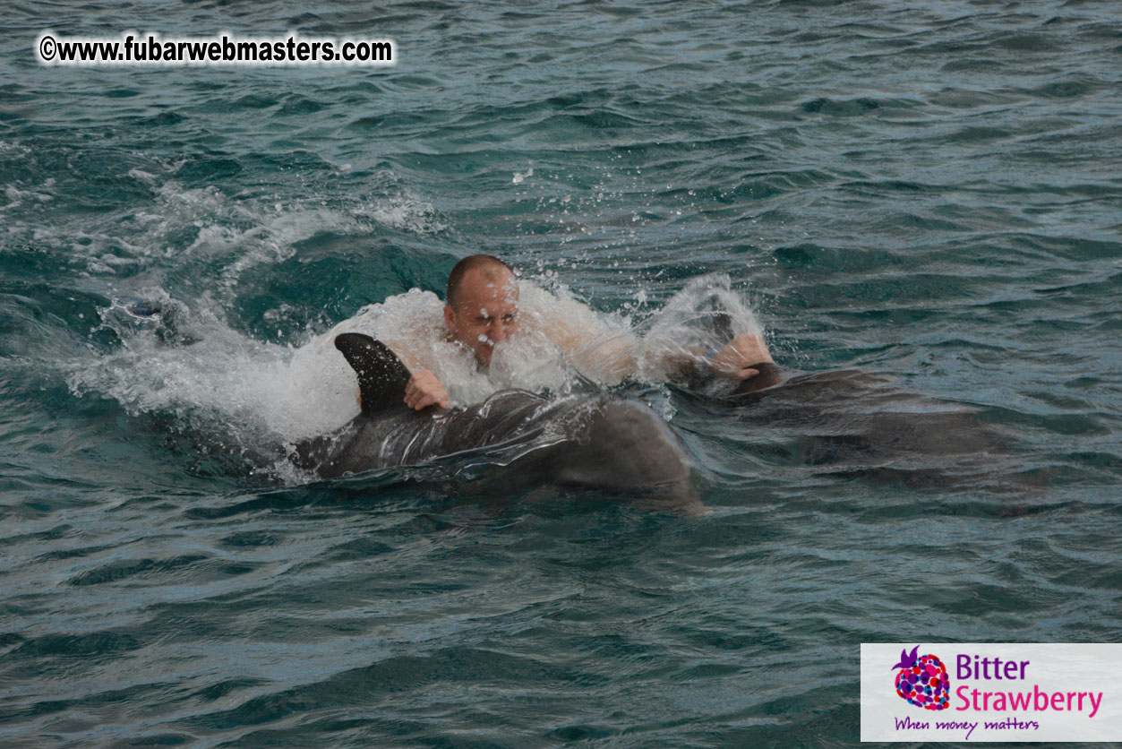 WireCard Dolphin Swim